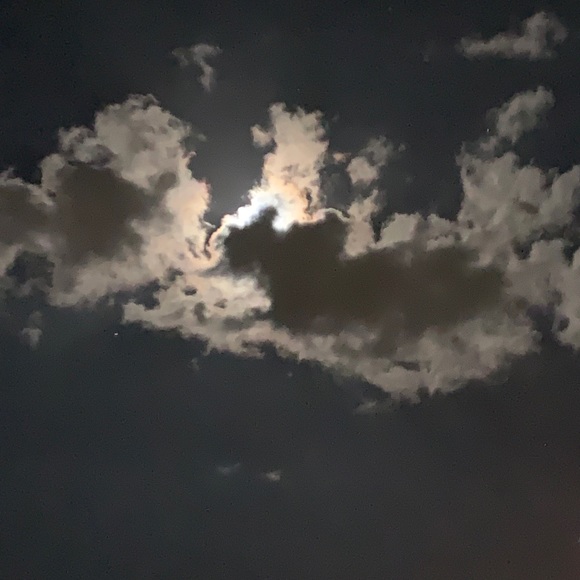 Meet your Posher, Amanda - Picture 1 of 1